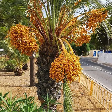 Juana En Monaco * La Manga del Mar Menor