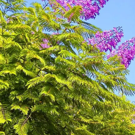 Juana En Monaco La Manga del Mar Menor