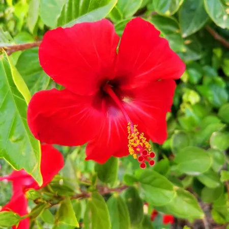 Juana En Monaco * La Manga del Mar Menor