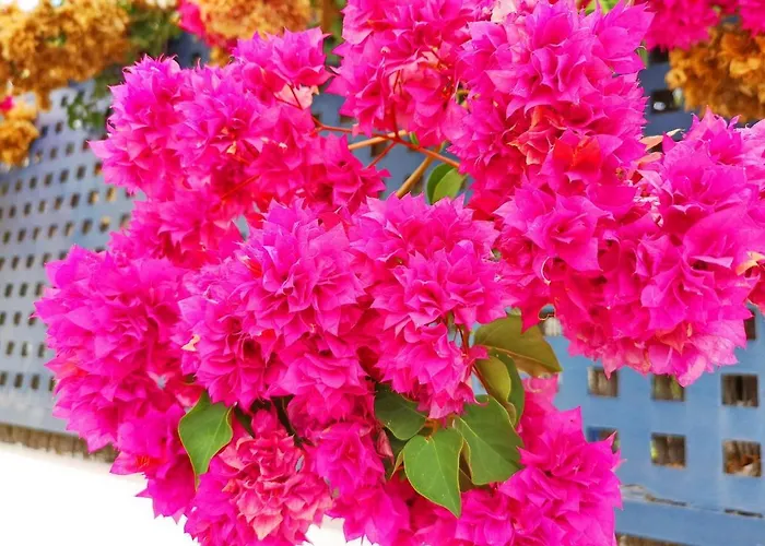 Juana En Monaco Apartman La Manga del Mar Menor